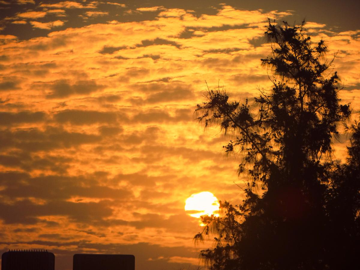 Aperture Log Frame 1