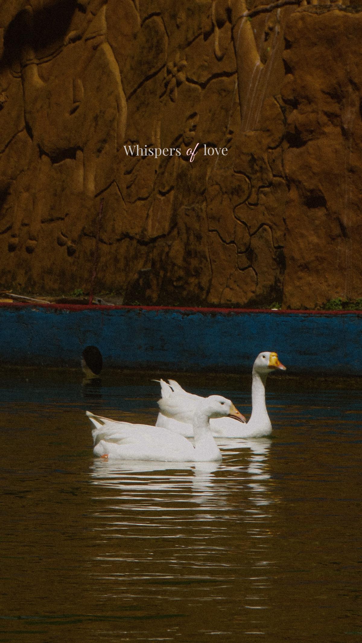 Aperture Log Frame 5